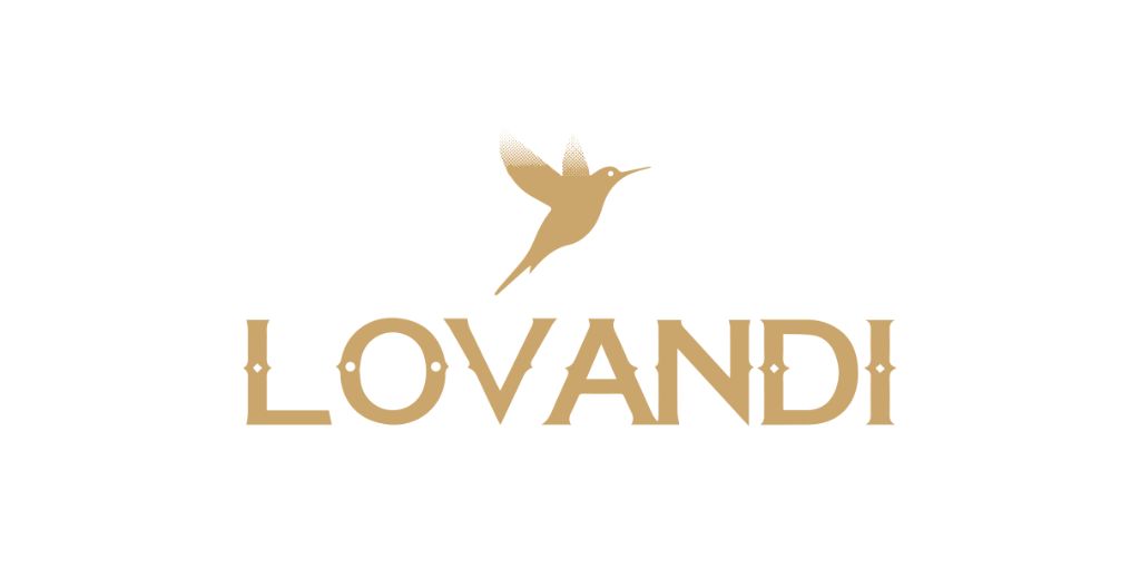 Análisis técnico y construcción del logotipo Lovandi