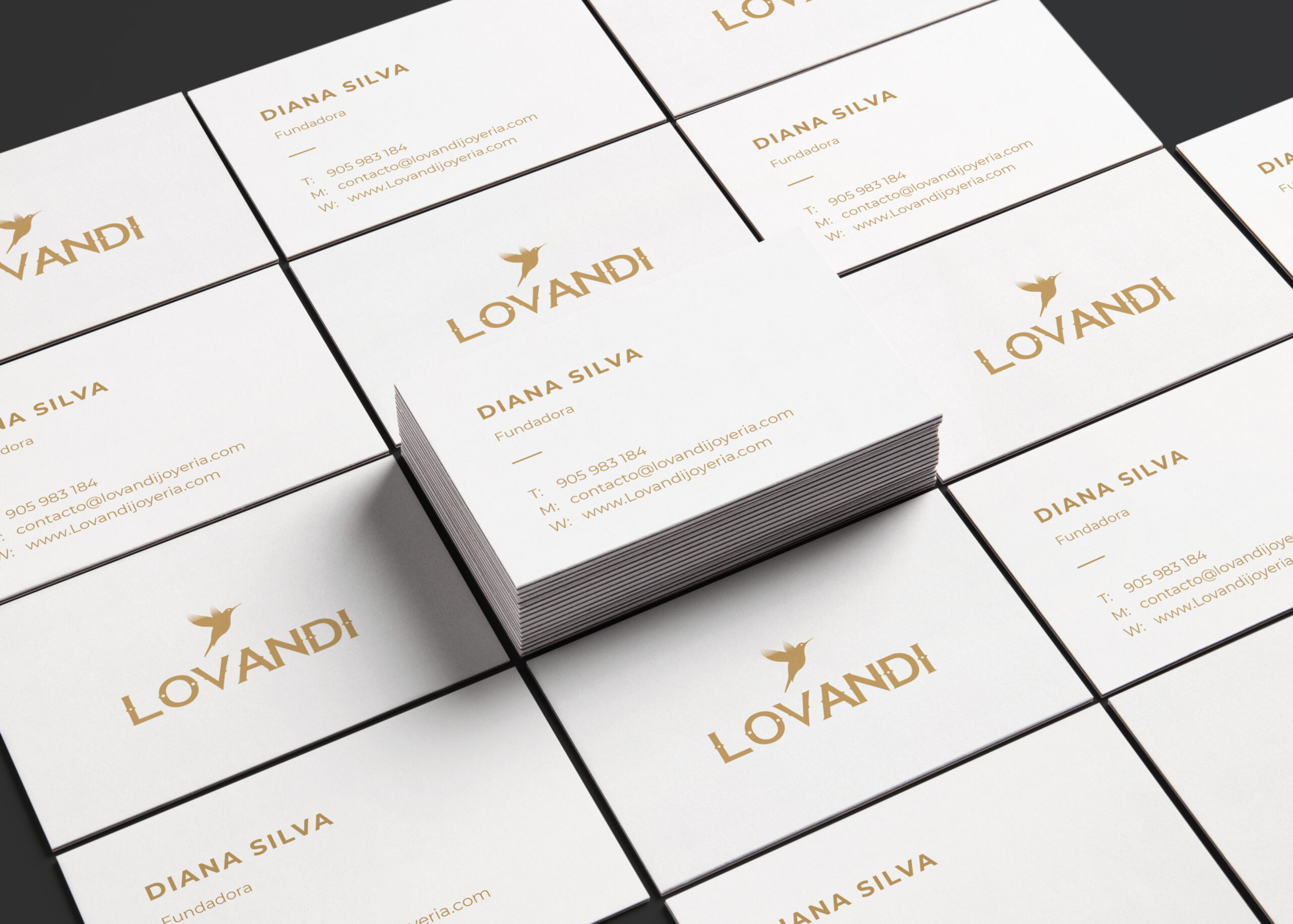 Lovandi Joyería Campaña Visual - Identidad en Acción