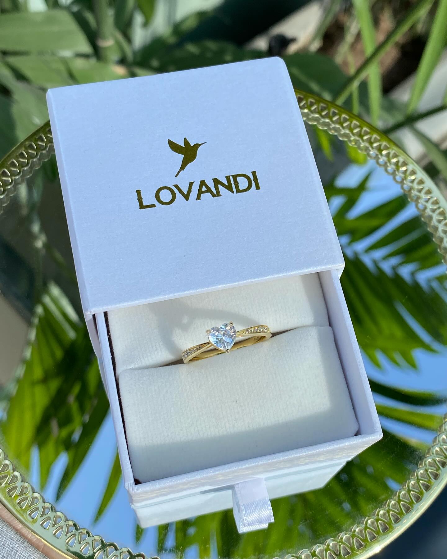 Packaging de lujo Lovandi Joyería